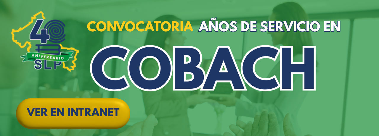 Imagen 33