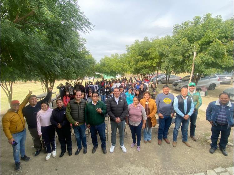 Paneles Solares
